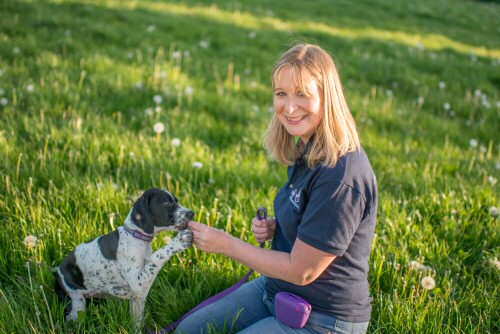 Happy dogs sale training